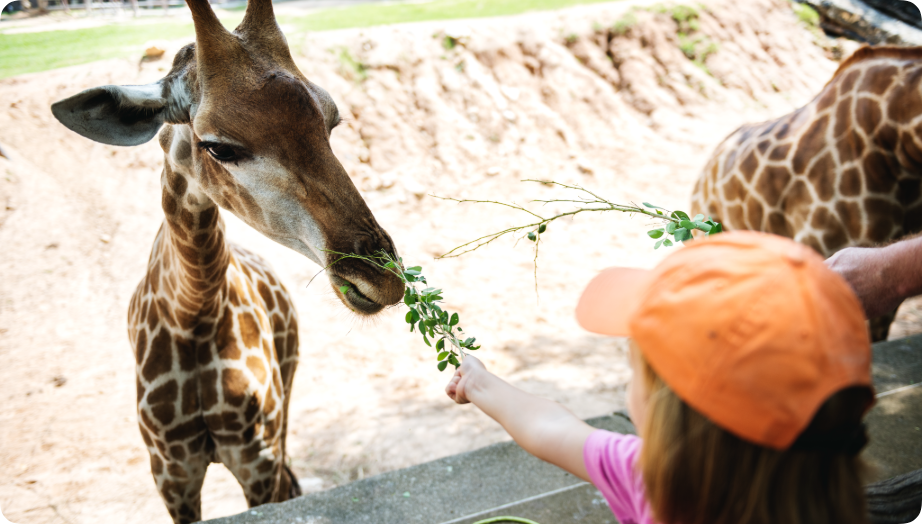 動物園景區(qū)